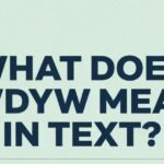 What Does WDYW Mean in Text?