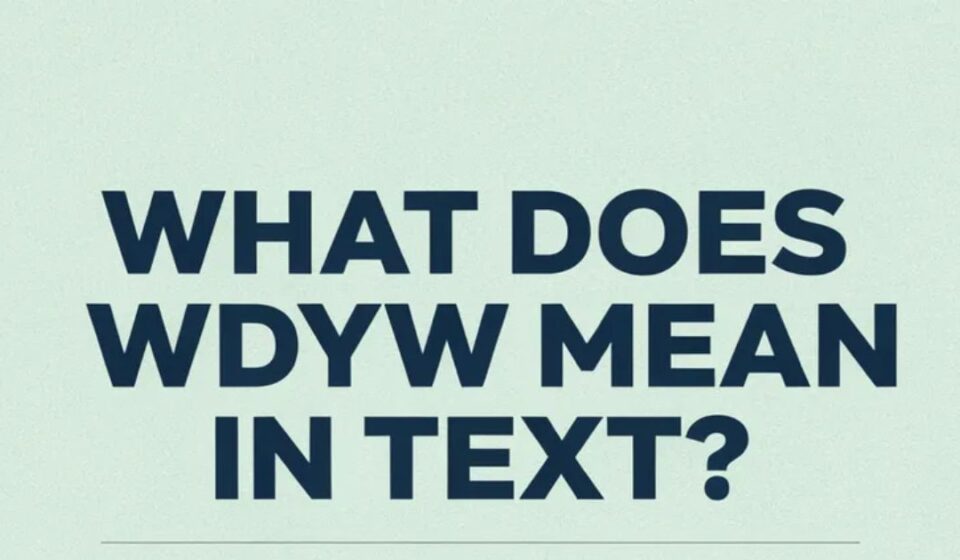 What Does WDYW Mean in Text?