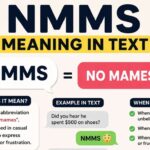 NMMS Meaning in Text: Definition, Uses, Examples & Internet Slang Guide