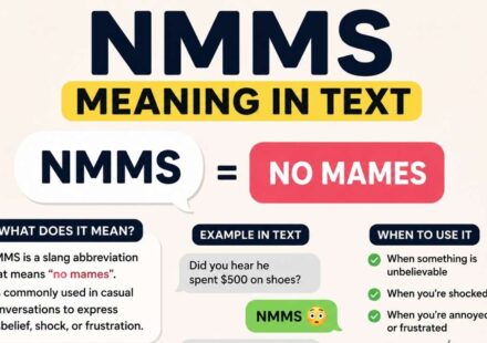 NMMS Meaning in Text: Definition, Uses, Examples & Internet Slang Guide