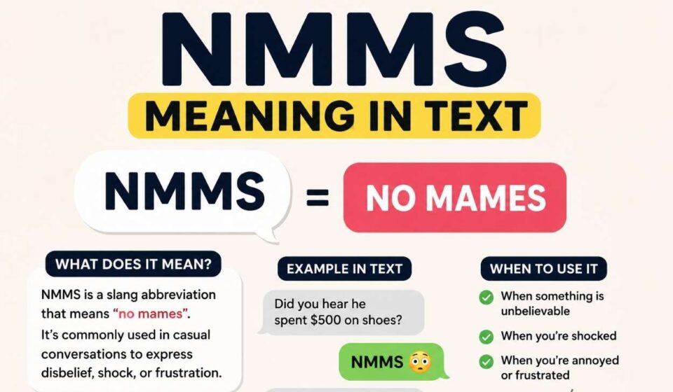 NMMS Meaning in Text: Definition, Uses, Examples & Internet Slang Guide